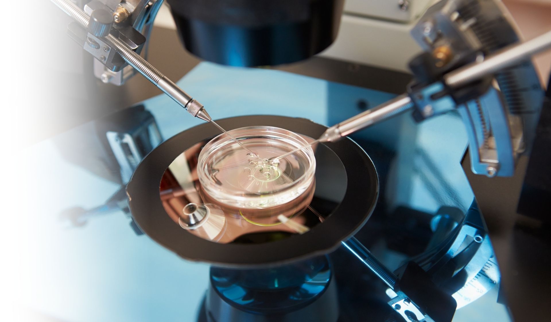 ivf intracytoplasmic sperm injection icsi