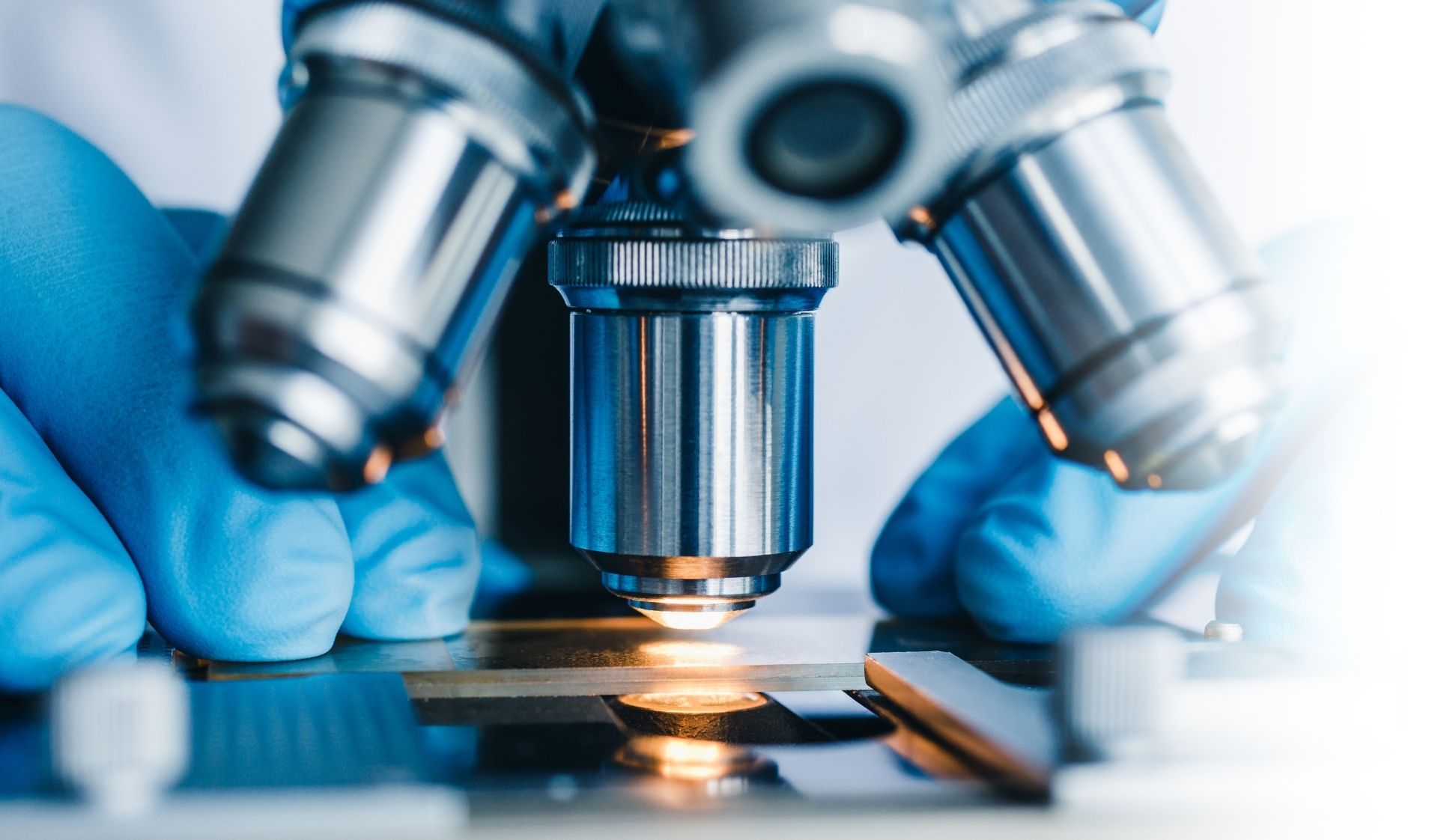 ivf process and procedure