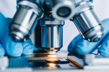 ivf microscope