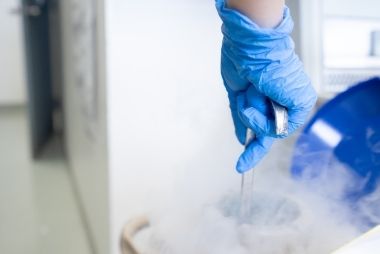 embryo sperm egg freezing