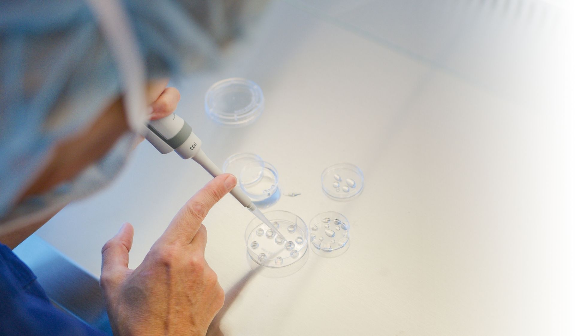 artificial insemination