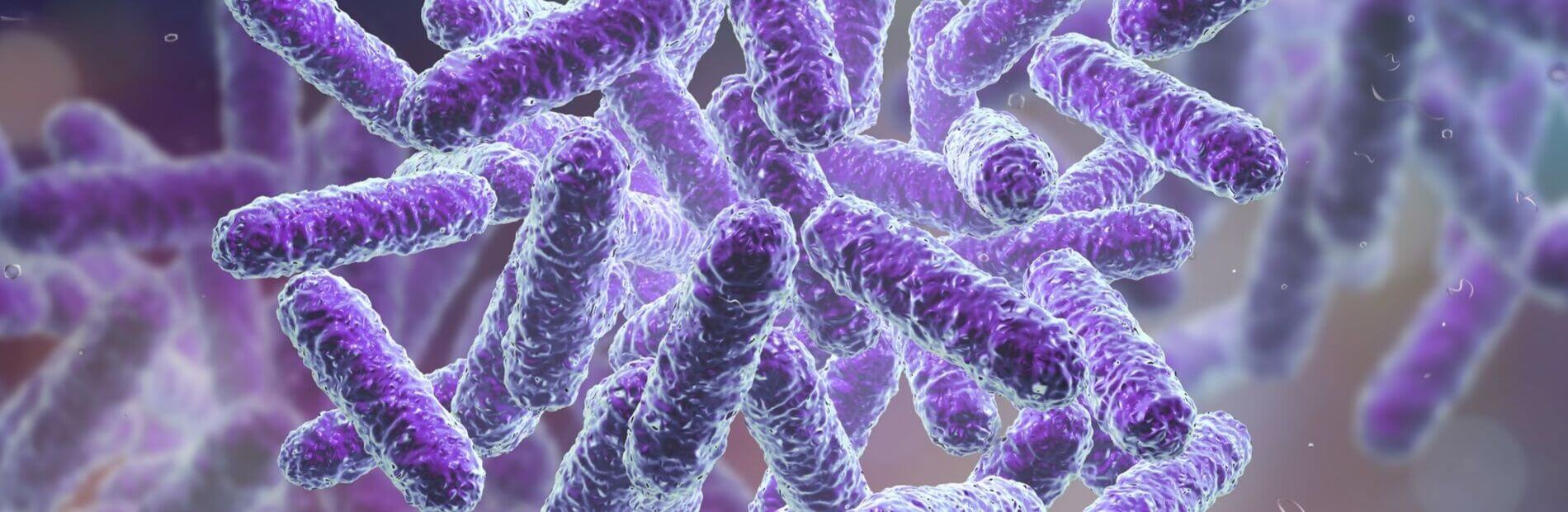 microbiome