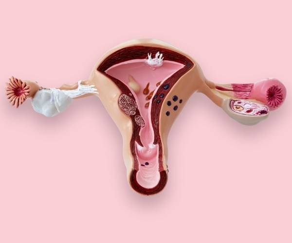 uterus tubal disease