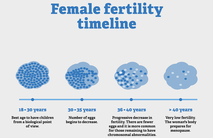female fertility timeline according to age - fertility infographic