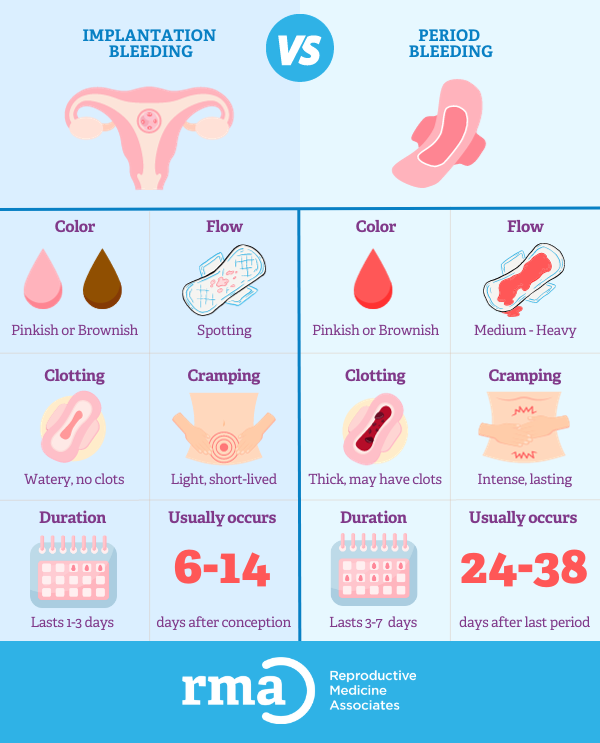Implantation bleeding vs period comparison chart provided by RMA fertility clinics