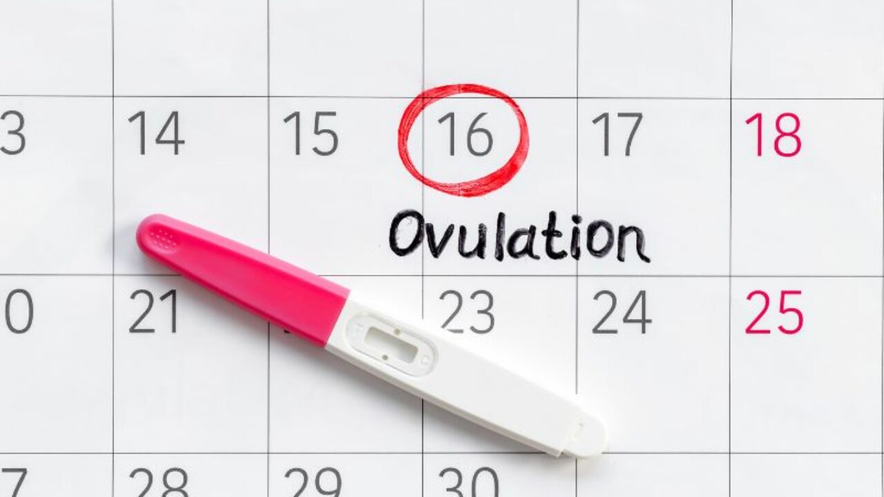 Length of luteal phase (time from ovulation day (LH surge þ1 day