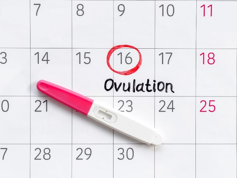ovulation test on a calendar with a circled date indicating then the best day to get pregnant is