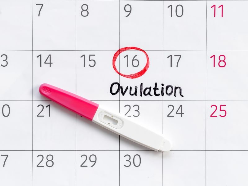 Untitled Design (44)