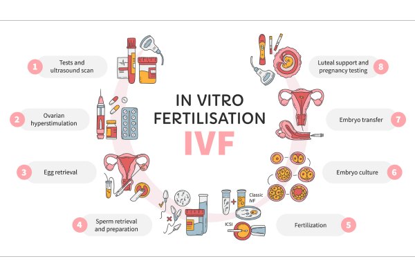 ivf process step by step